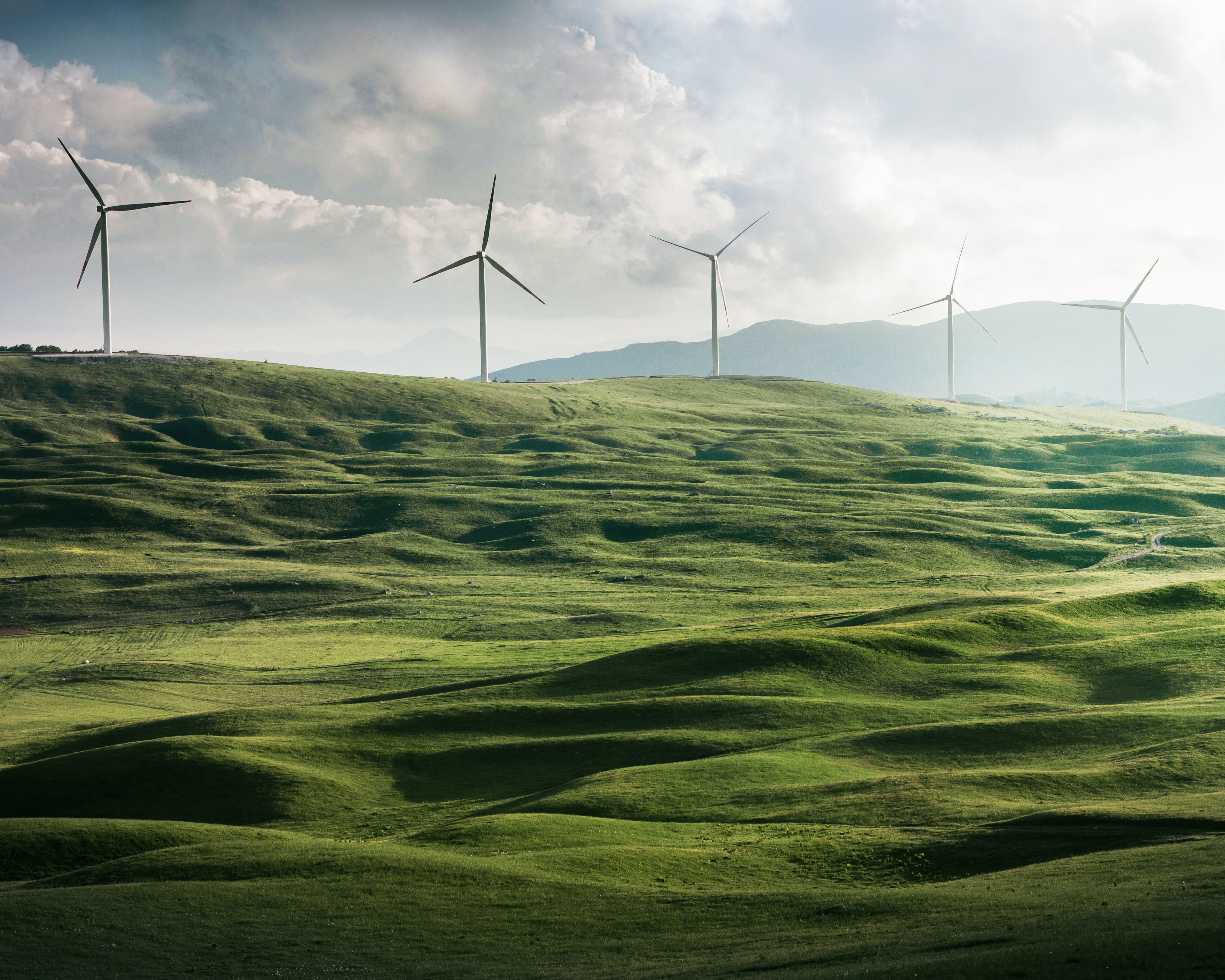 サステナビリティ・ヘッダー